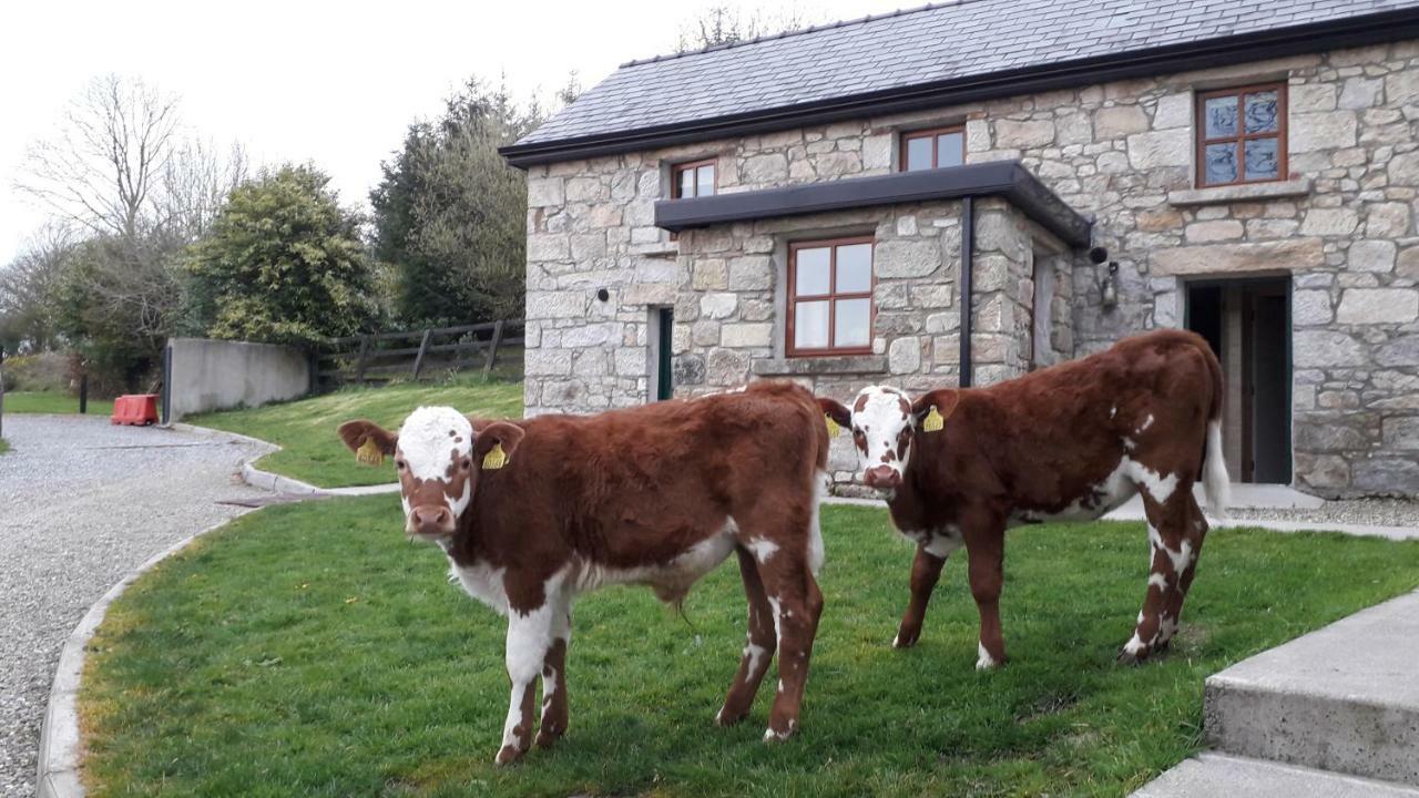 Green Adventure Ecohostel Clonmore 외부 사진